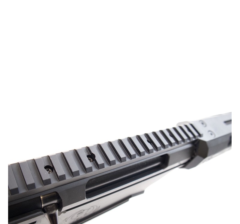 Ruger Precision Rifle Cal 300 PRC