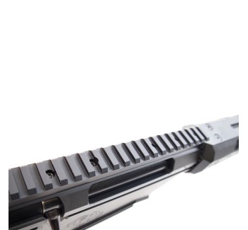 Ruger Precision Rifle Cal 300 PRC