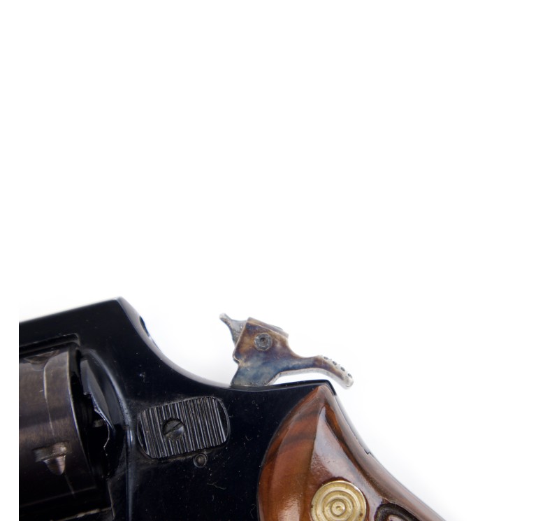 Revolver Riva Esterina Dobermann Cal 38 Special