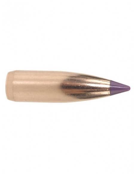 NOSLER BALLISTIC TIP 243" 70 GR SP