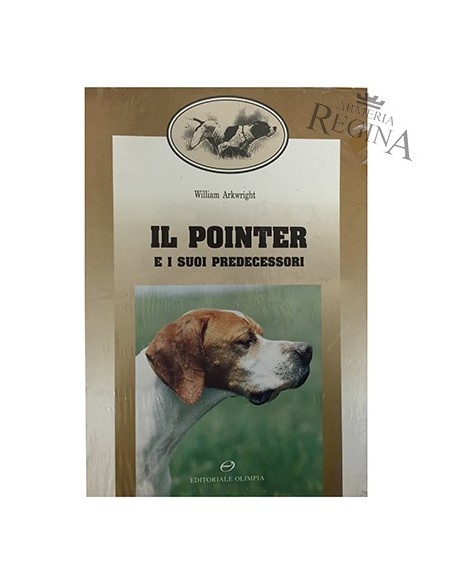 Il Pointer e i suoi predecessori - W Ark