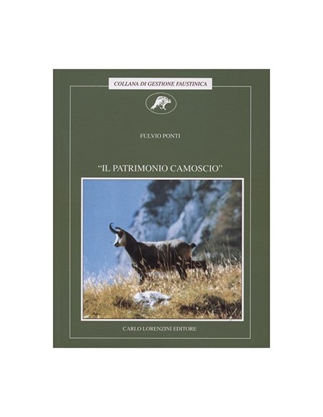 IL PATRIMONIO CAMOSCIO - Ponti