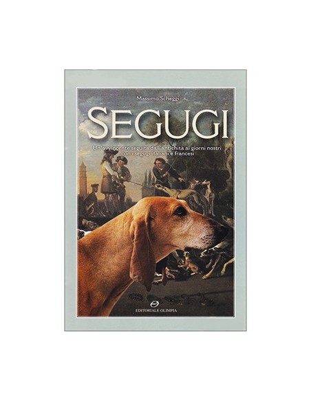SEGUGI - Massimo Scheggi
