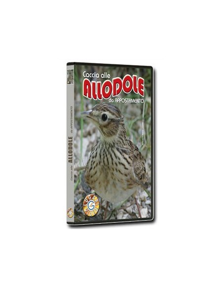 Caccia Alle Allodole da Appostamento