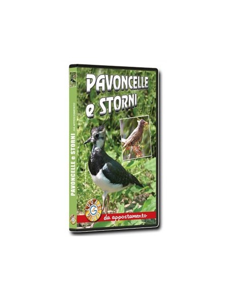Pavoncelle e Storni da Appostamento