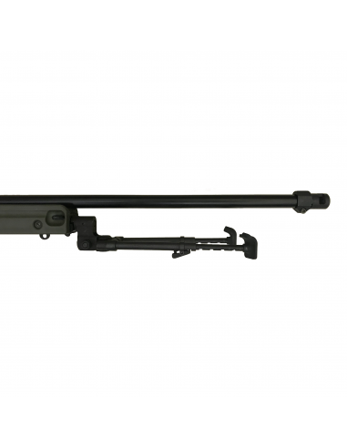 Accuracy International AW50 Cal. 308 Winchester Accuracy International AW50 Cal. 308 Winchester