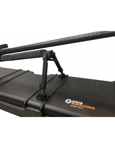 Steyr Mannlicher HS Cal. 460 Steyr