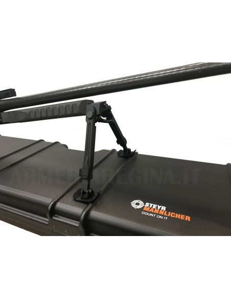 Steyr Mannlicher HS Cal. 460 Steyr