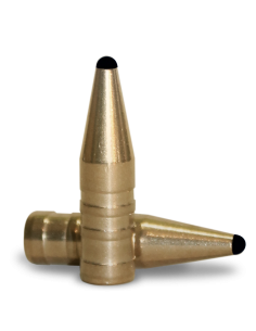 FOX BULLETS CLASSIC HUNTER 9,3 MM (.366) 250 gr 2