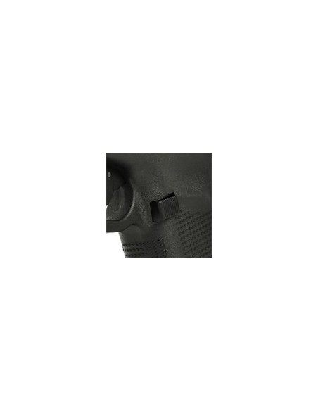 Glock 48 Silver Cal. 9x21