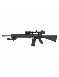 SDM M16 Marksman 223 Remington 2