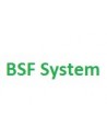 BSF System