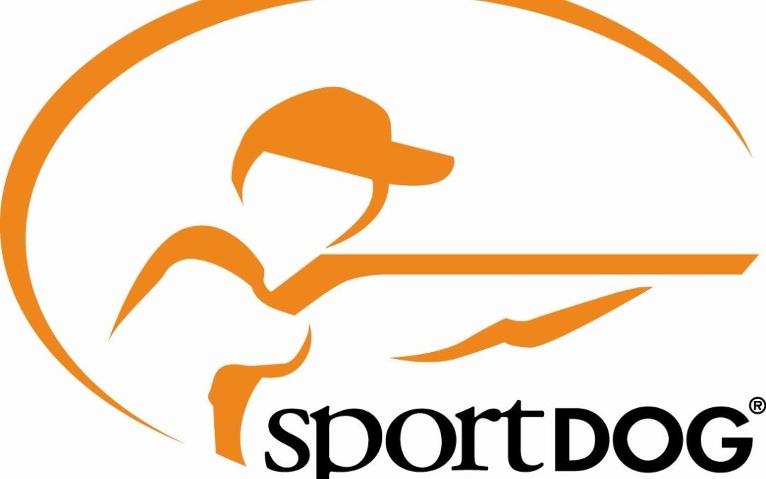 Sport Dog