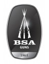 BSA