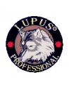 Lupus
